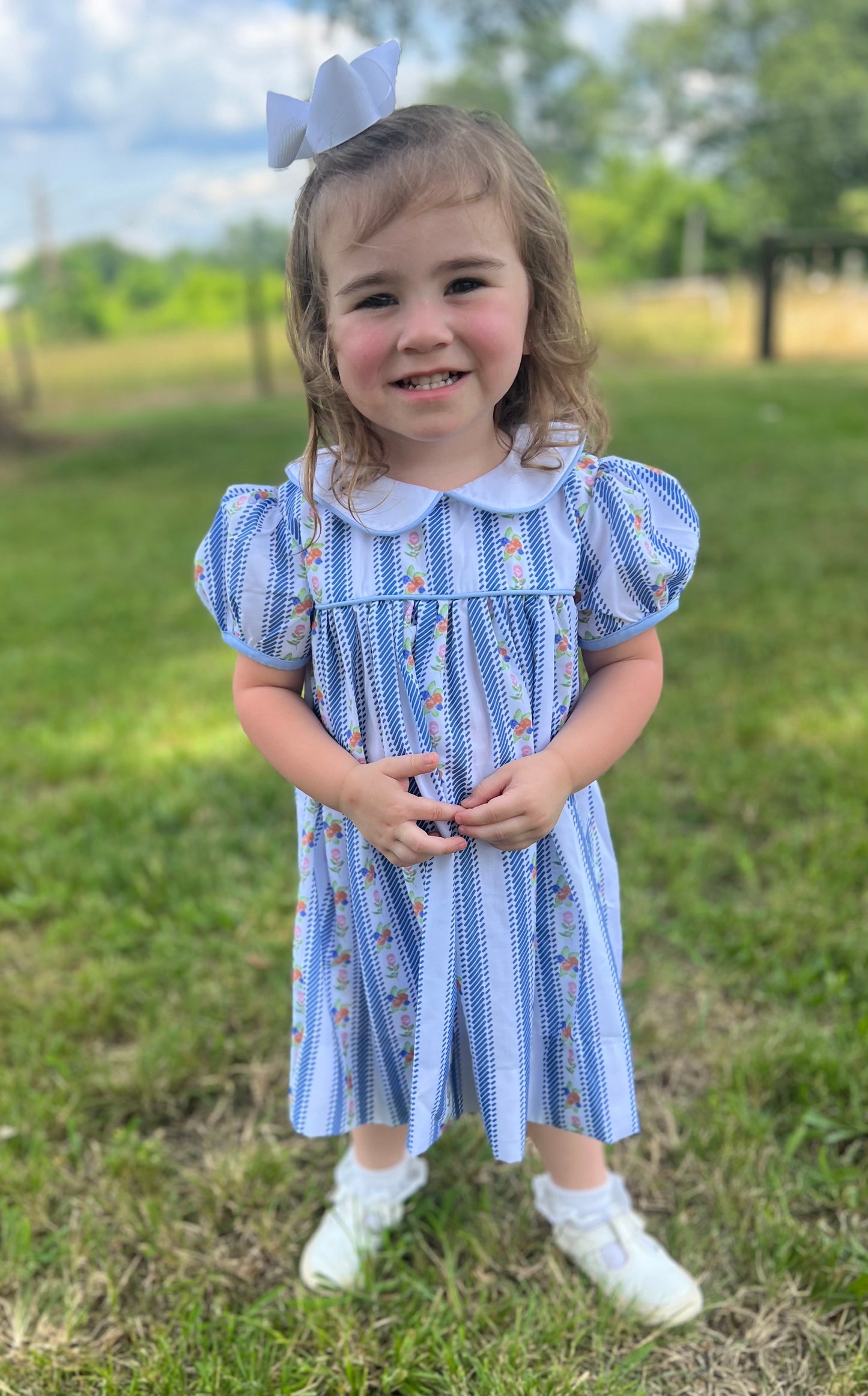 PREORDER Blue Floral Stripe Dress