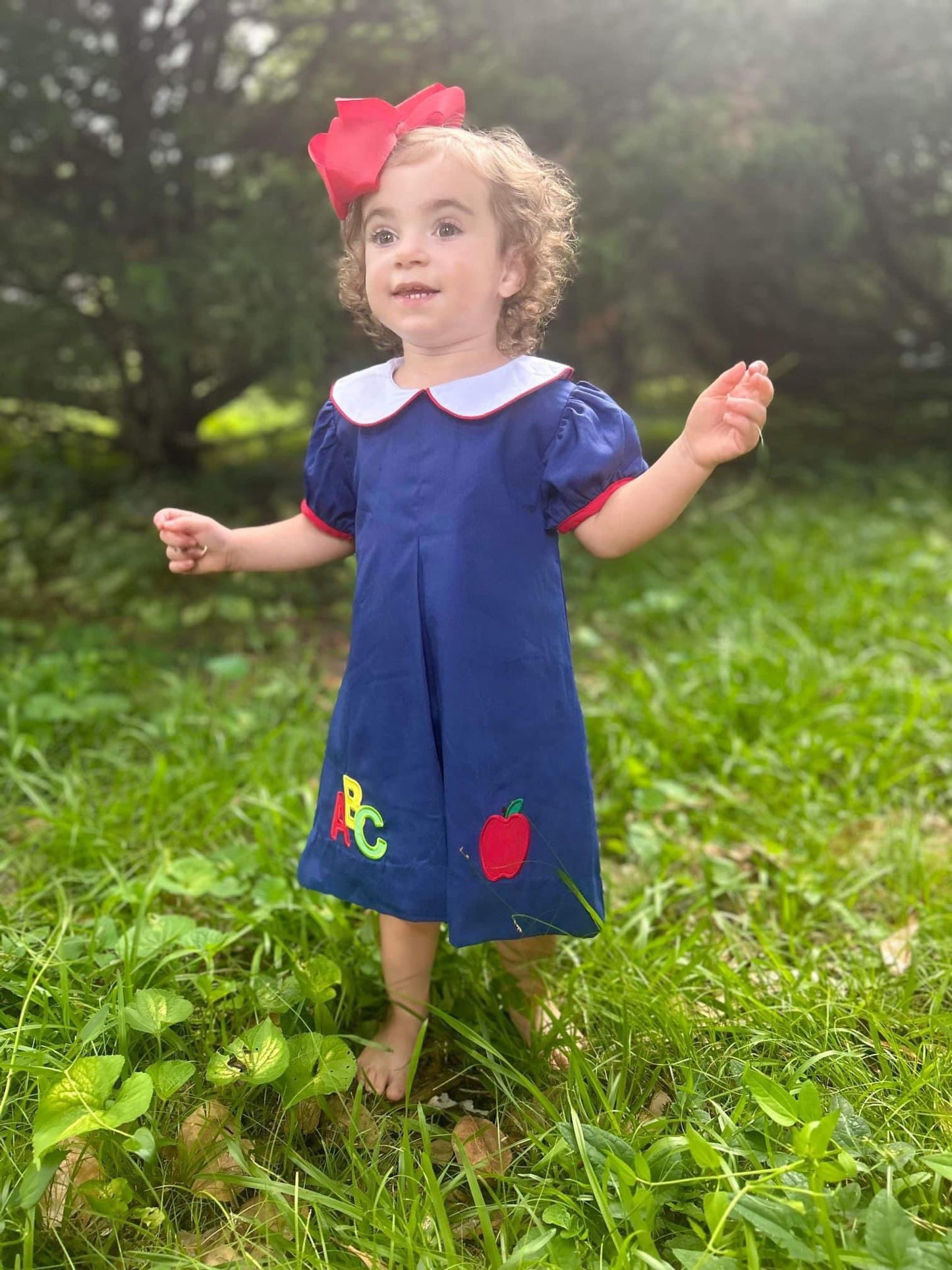 PREORDER A-Line ABC Appliqué Dress