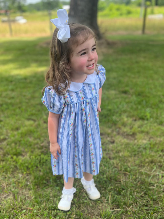 PREORDER Blue Floral Stripe Dress